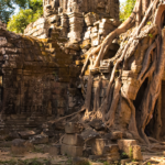 cambodia, temple, asia